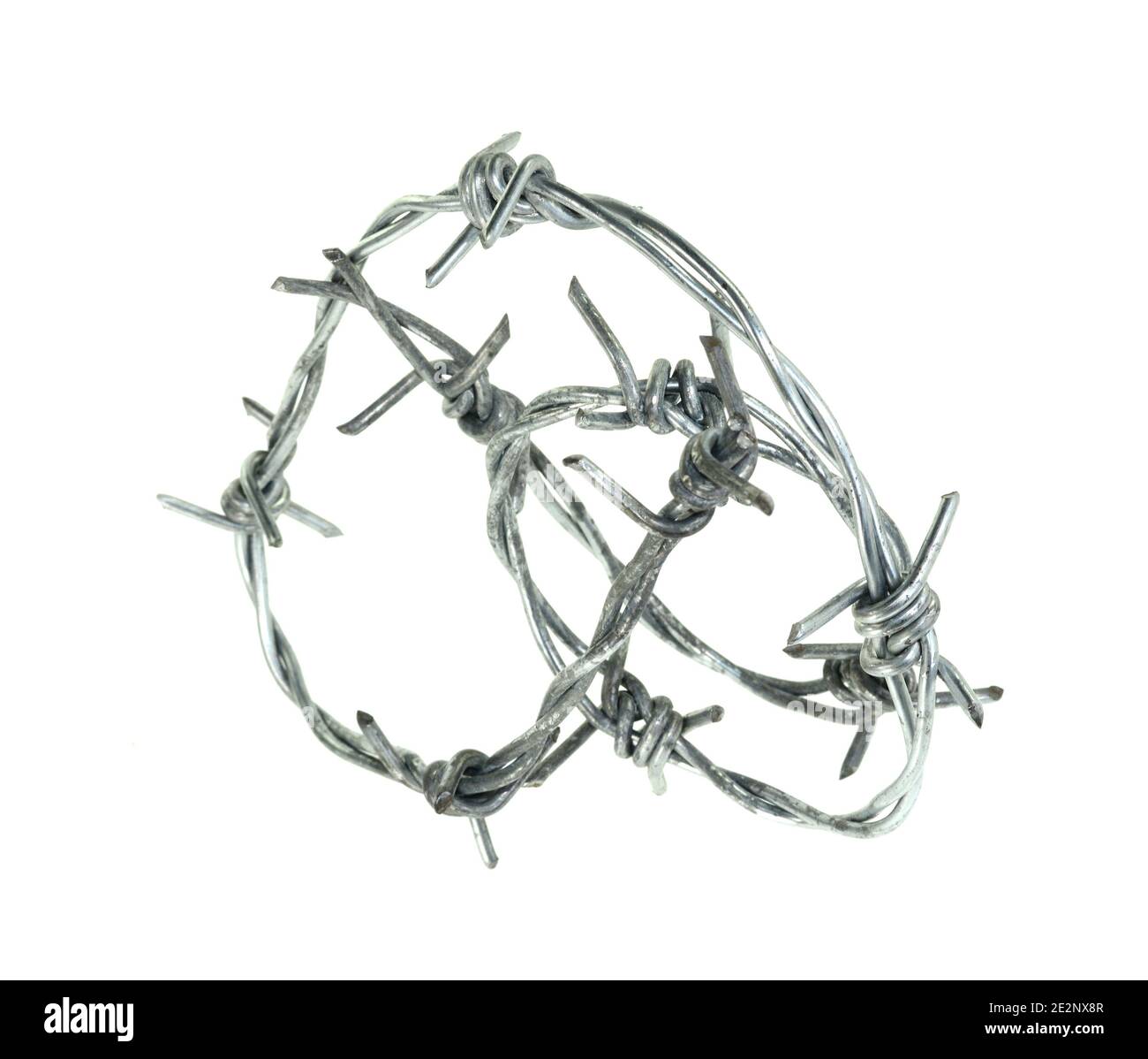 Barbed wire isolated on a white background Stock Photo - Alamy
