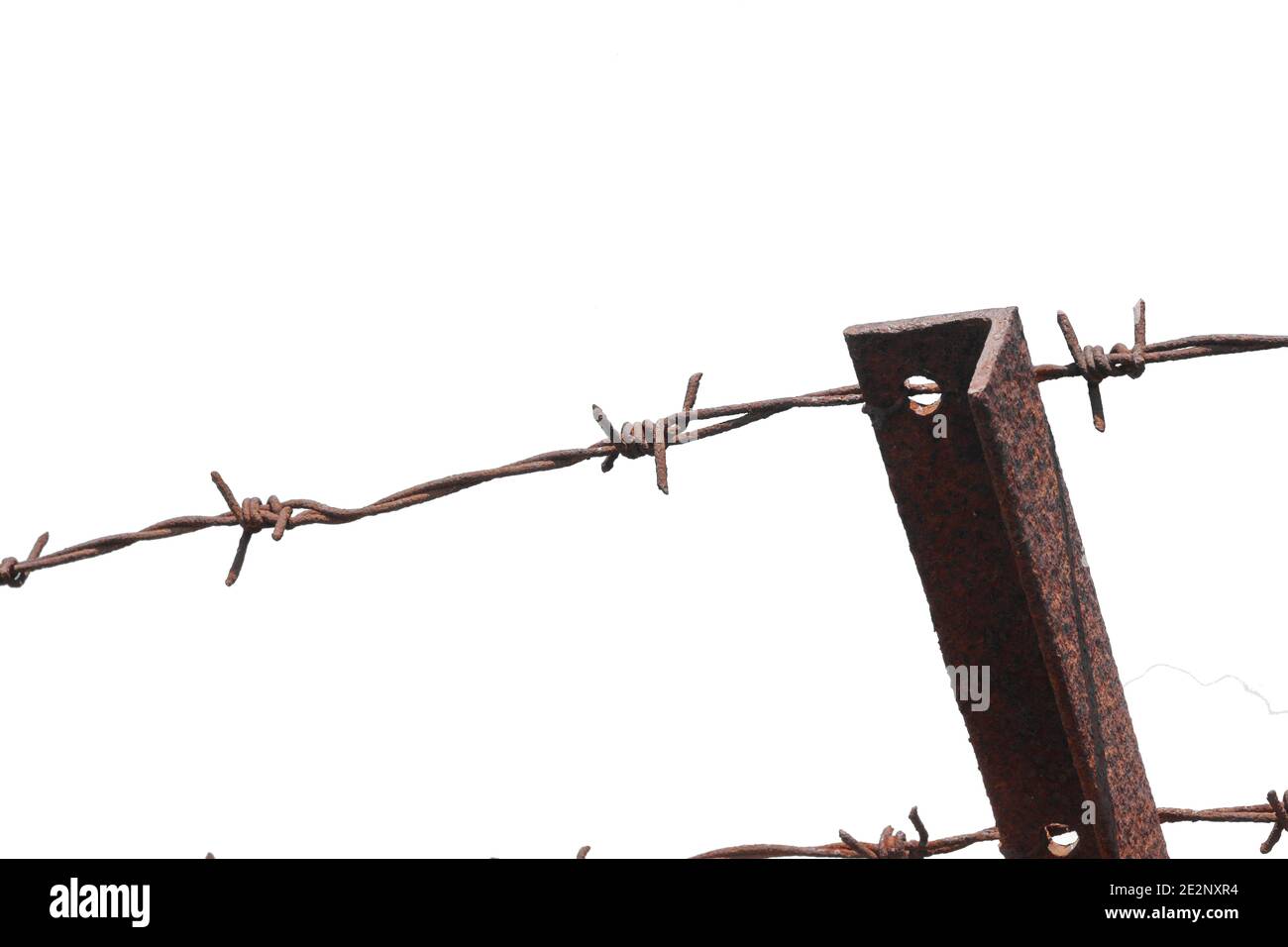 Barbed wire isolated on a white background Stock Photo - Alamy