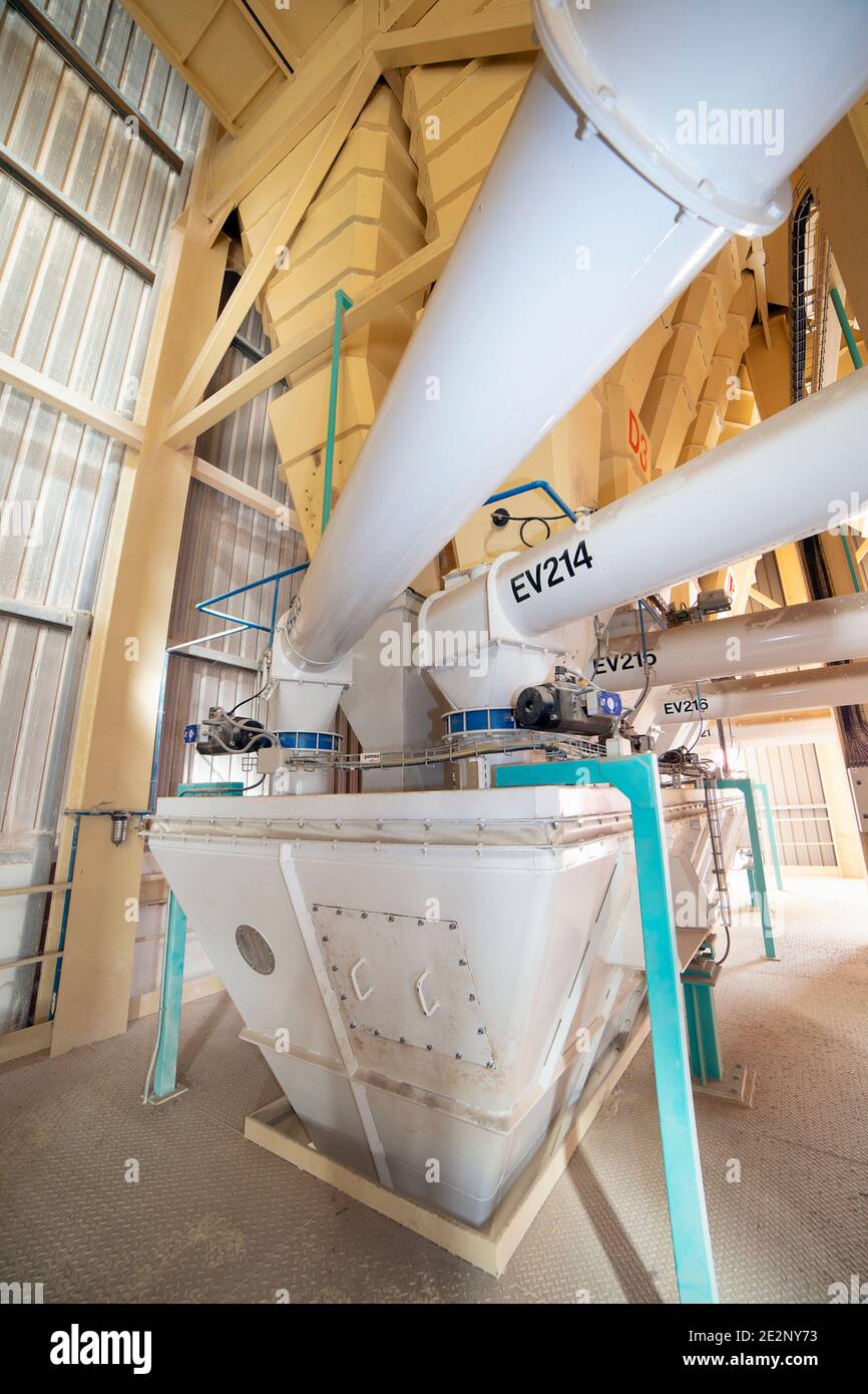 truck loading chicken feed. Factory of fresh eggs Stock Photo Alamy