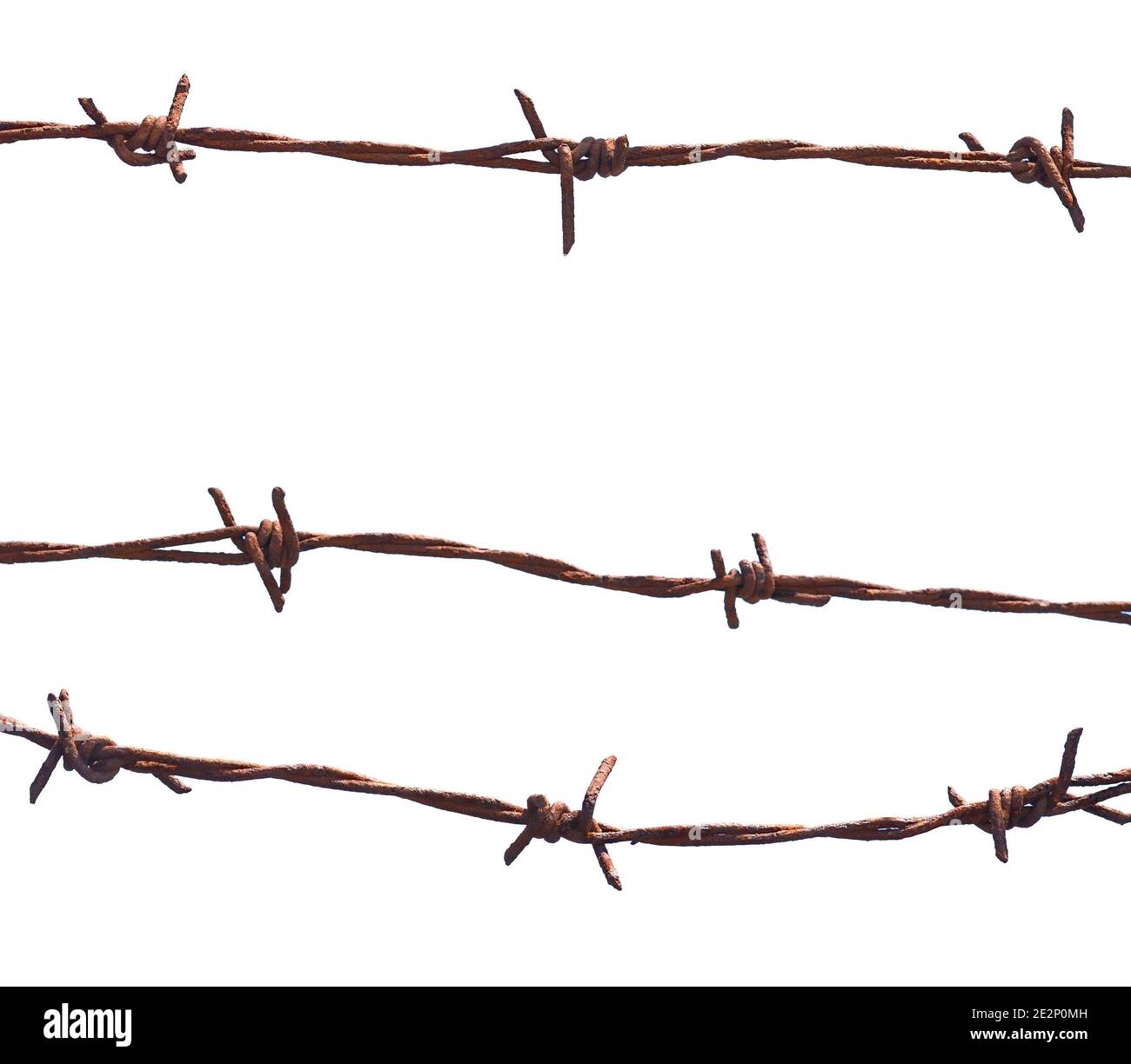 Barbed wire isolated on a white background Stock Photo - Alamy