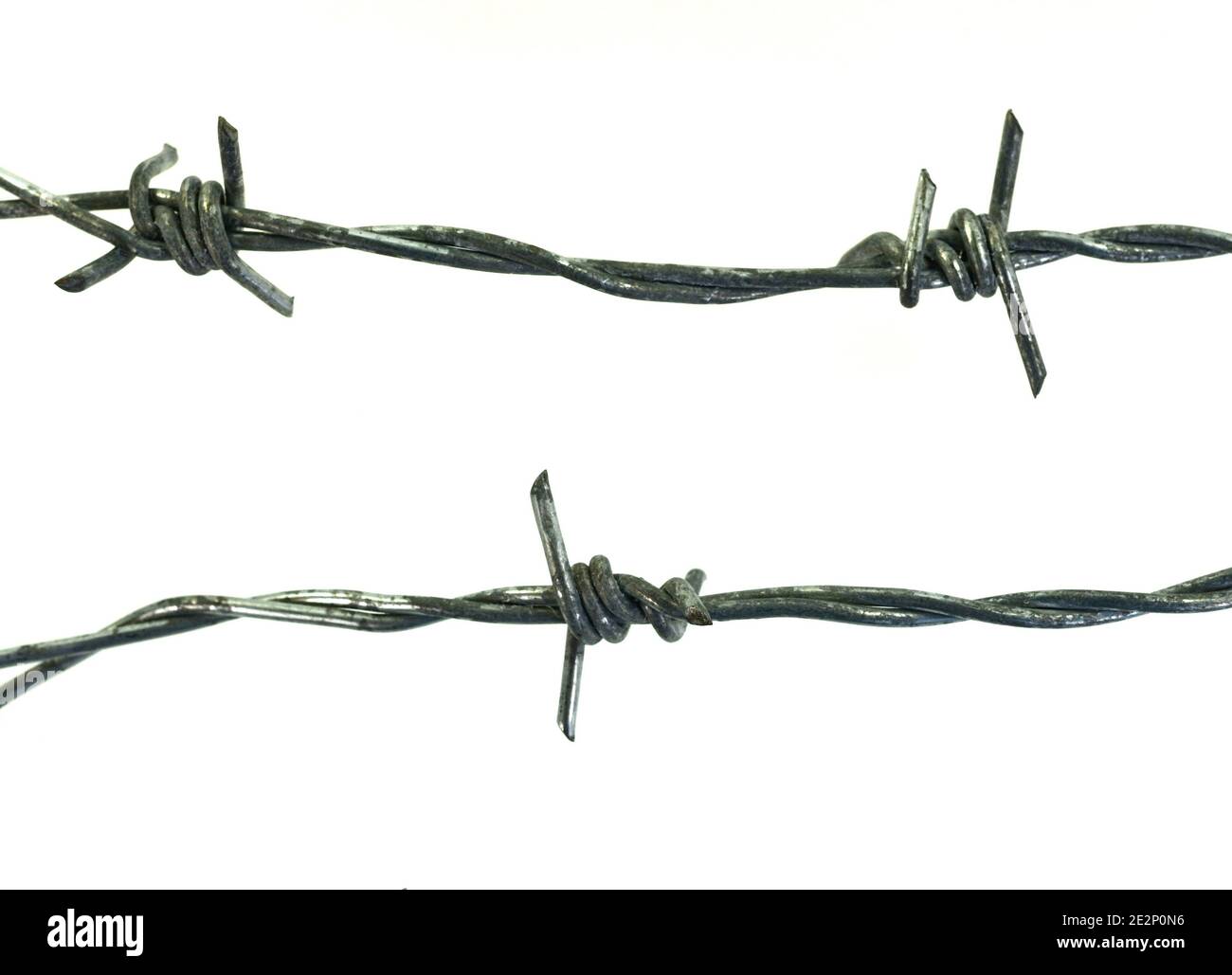 Barbed wire isolated on a white background Stock Photo - Alamy