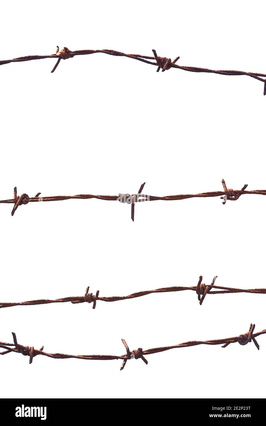 Barbed wire isolated on a white background Stock Photo