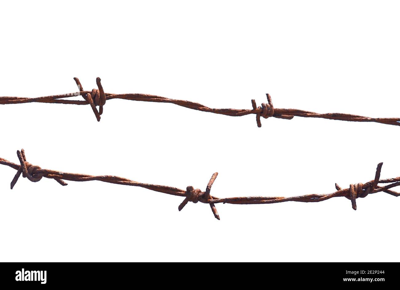 Barbed wire isolated on a white background Stock Photo - Alamy