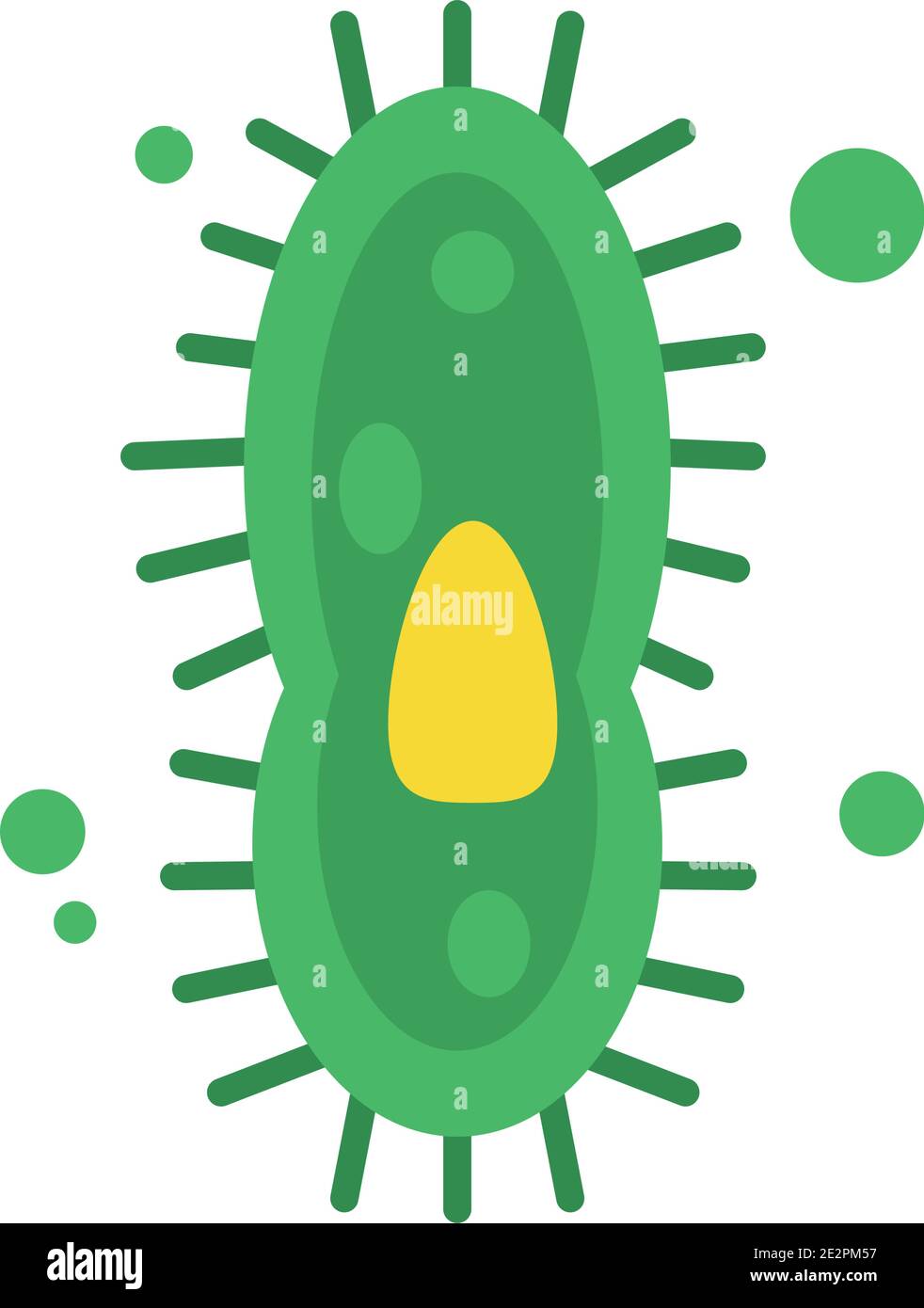 vibrio bacteria icon over white background, colorful design, vector ...