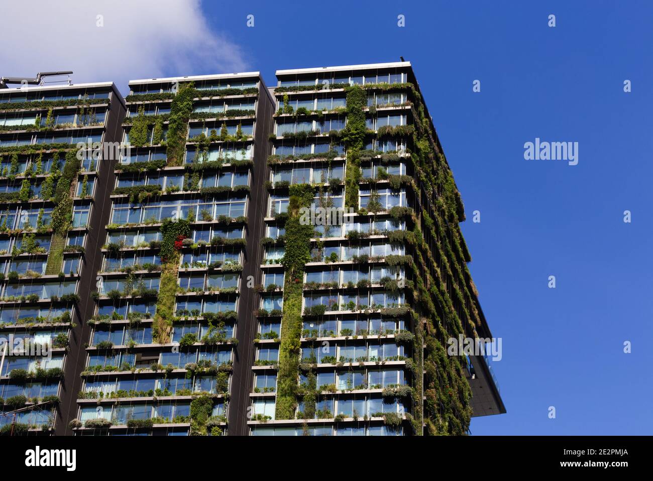 One Central Park is an award-winning mixed-use building featuring vertical hanging gardens located in Ultimo Sydney New South Wales Australia Stock Photo