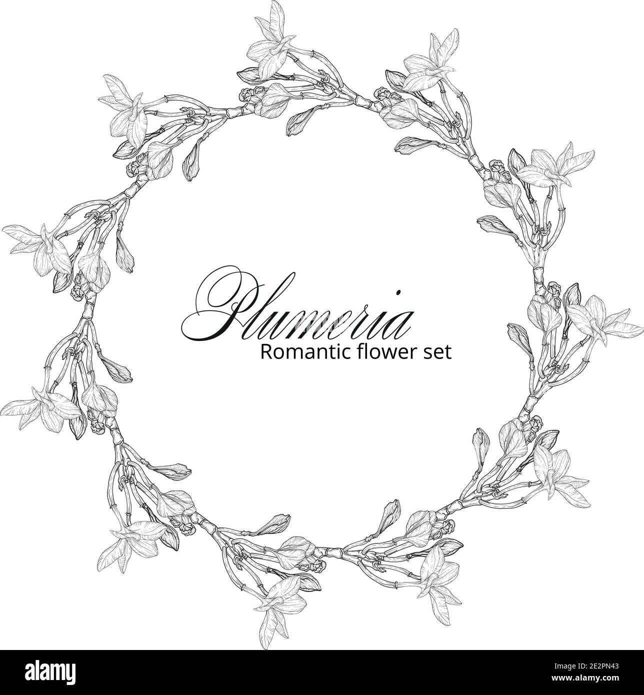 Black and white plumeria flowers. Plumeria. Flower wreath. Summer