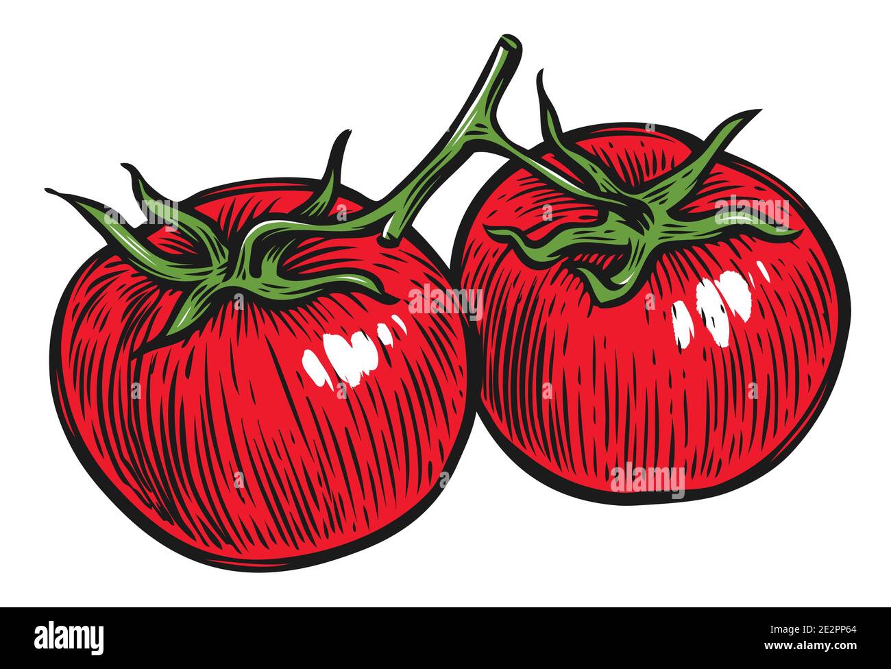 Two tomatoes on a branch. Vegetables vector illustration Stock Vector