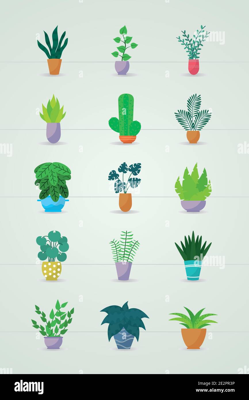beautiful plants in a pots icon set over green background, colorful ...