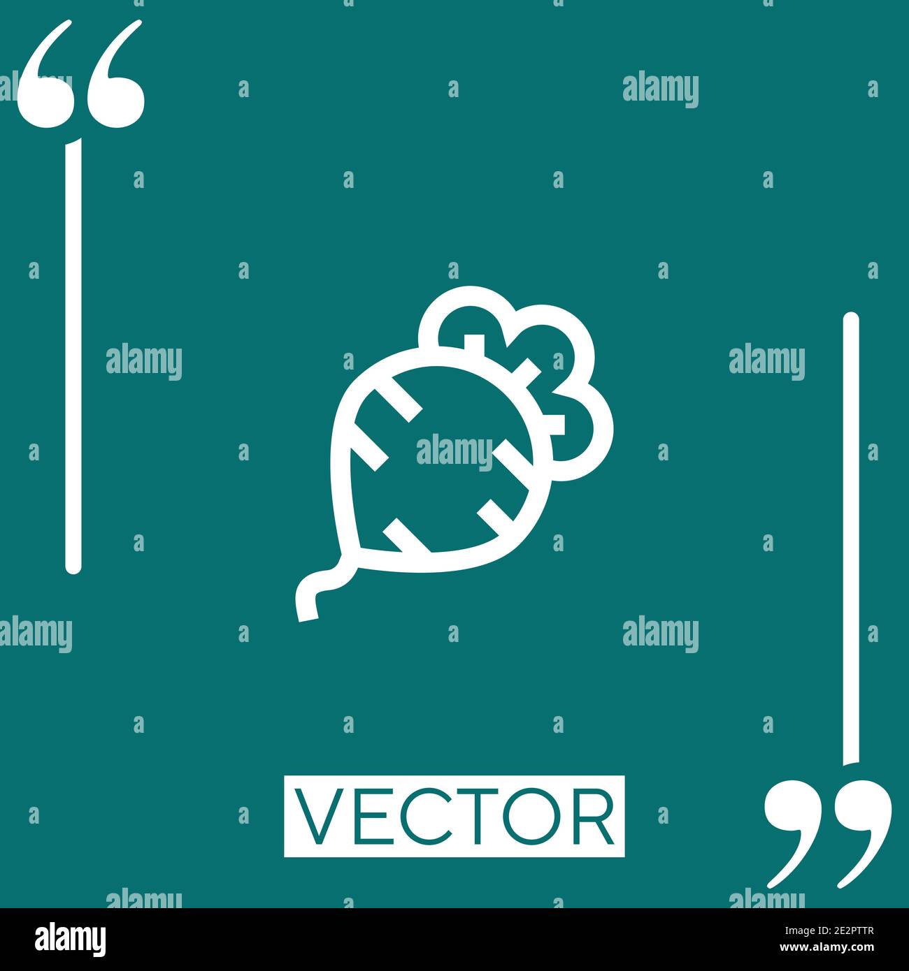 beet vector icon Linear icon. Editable stroke line Stock Vector