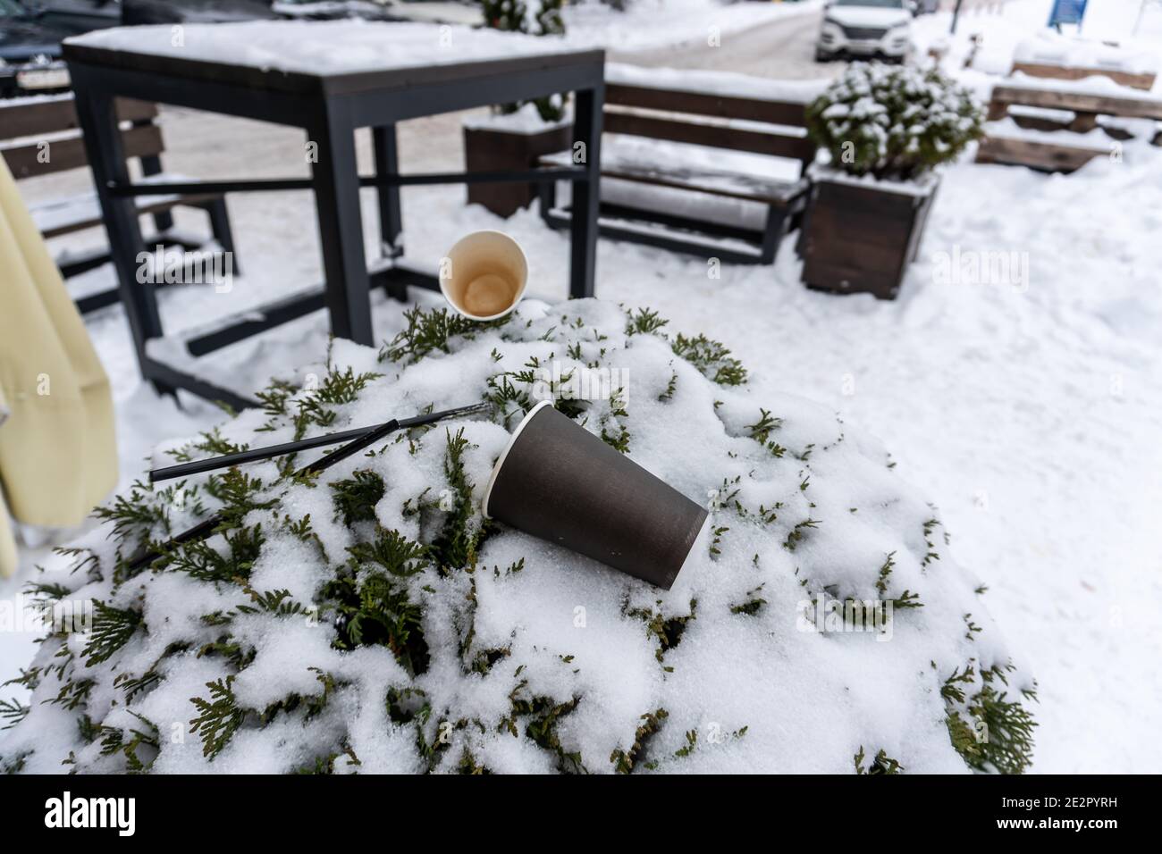 Dirty coffee paper cups and plastic straws lie on a bush of greenery on a terrace in a cafe in winter Stock Photo