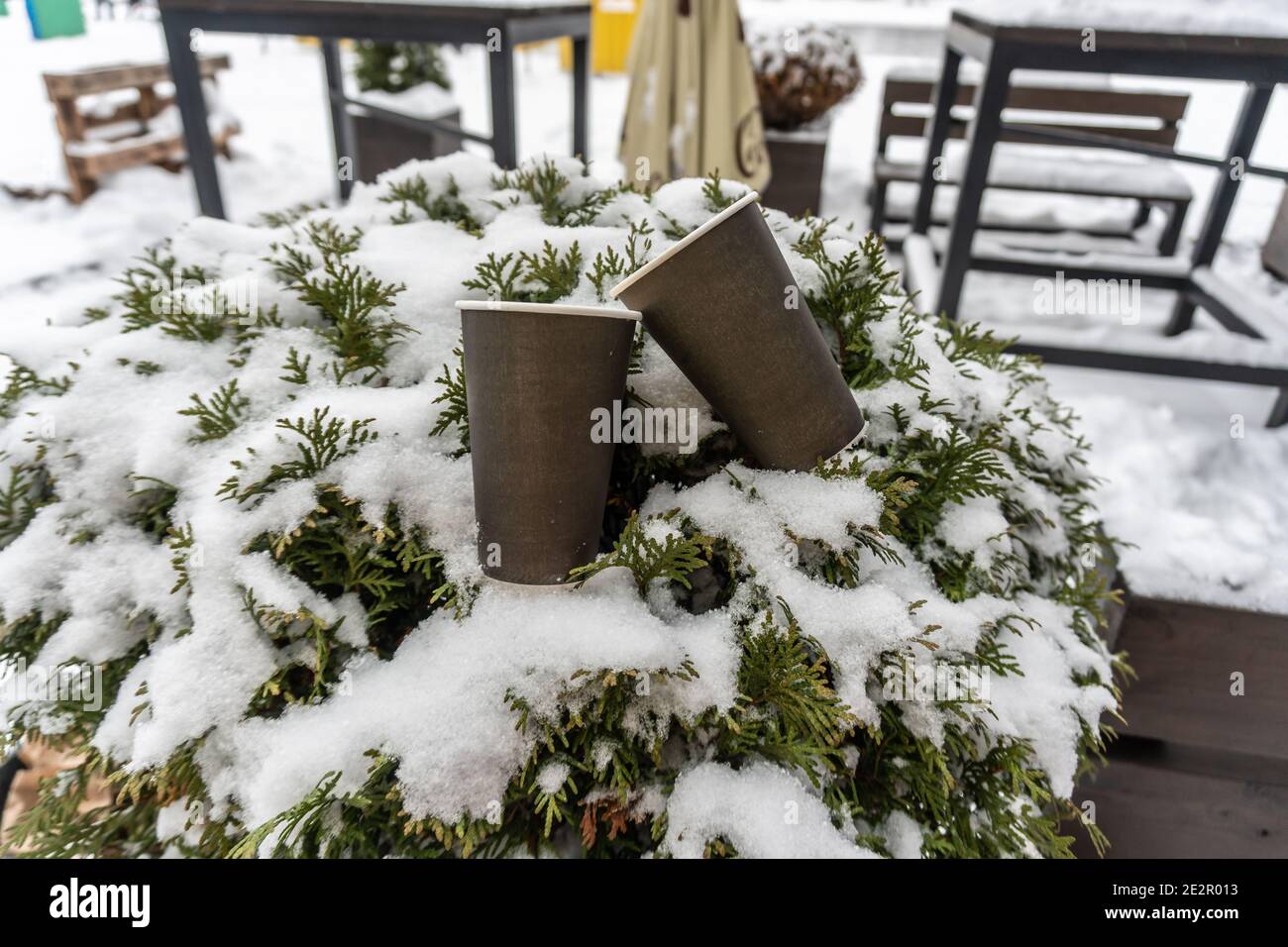 Two paper cups for coffee on a snow bush near a winter cafe Stock Photo