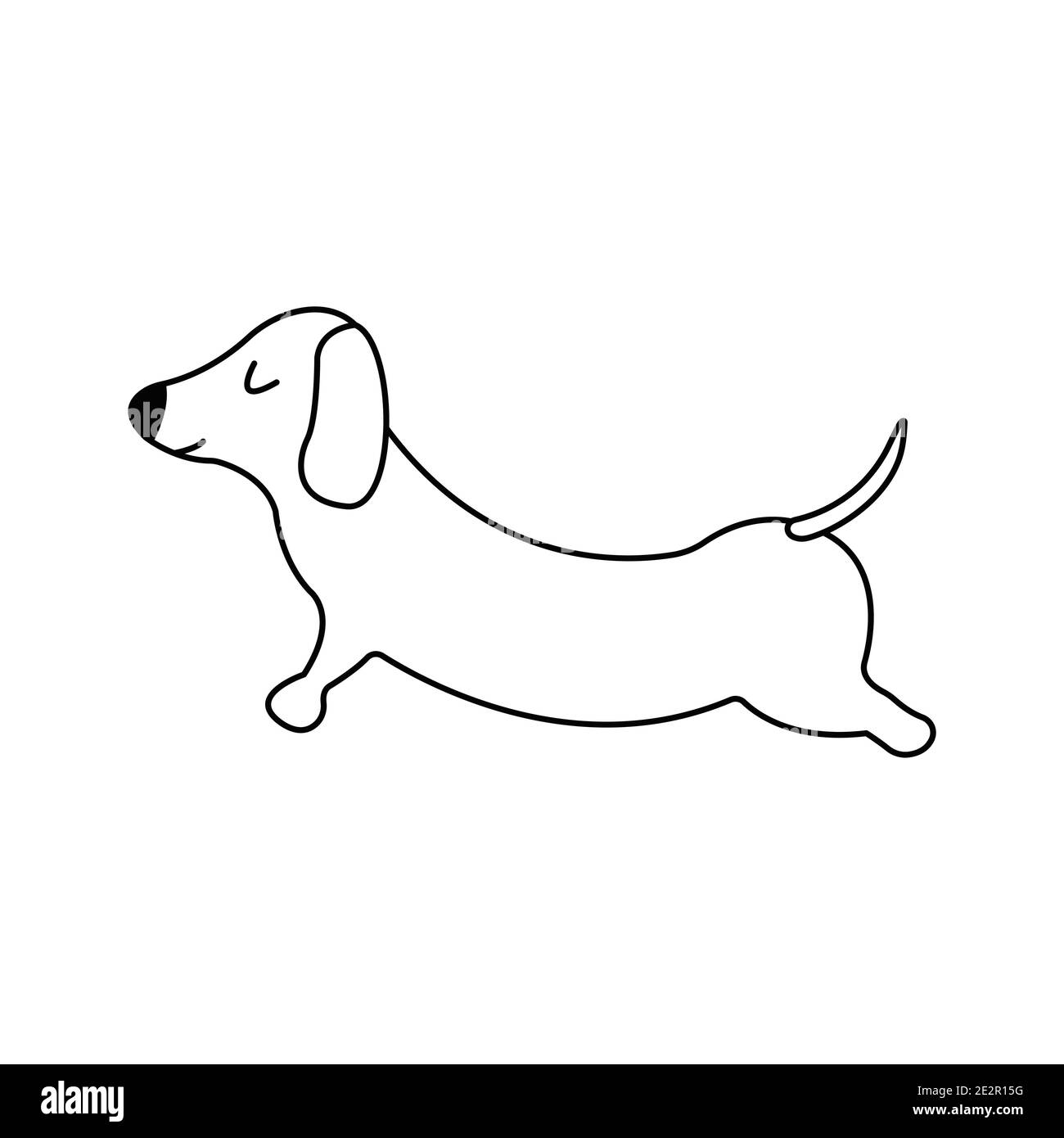 Dachshund practices yoga back bending. Yoga dog, relaxation and sports. Vector isolated doodle illustration. Hand drawn animal black and white Stock Vector