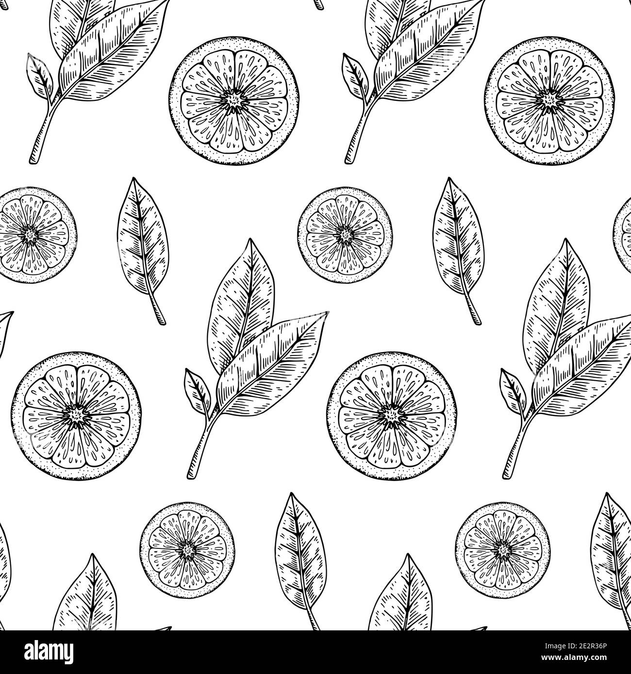 Hand drawn citrus seamless pattern. Vector illustration in sketch style ...