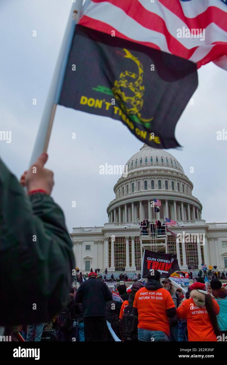 January 6, 2021. Large Crowds of Protesters at Capitol Hill with Donald Trump 2020 and Don't Tread on Me flags. US Capitol Building, Washington DC.USA Stock Photo