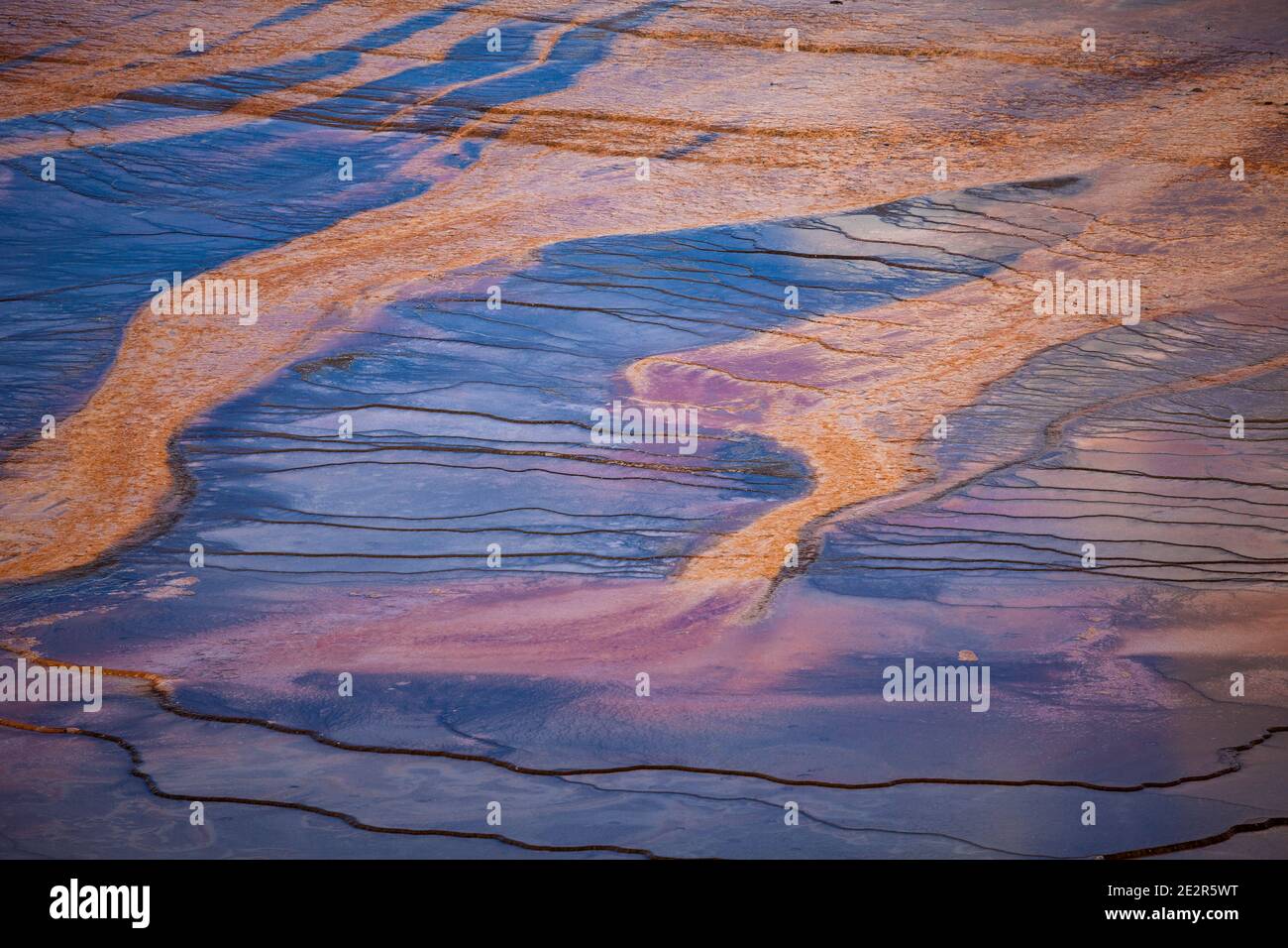 WY02835-00...WYOMING - Bright coloful run off from Grand Prismatic Spring in Yelleostone National Park. Stock Photo