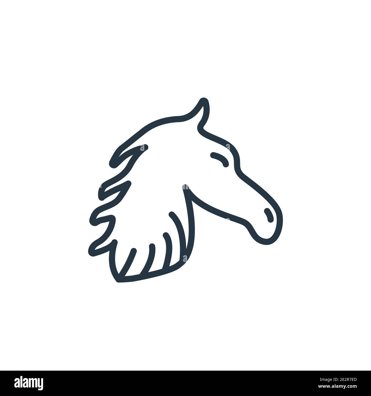 Horse head outline vector icon. Thin line black horse head icon, flat