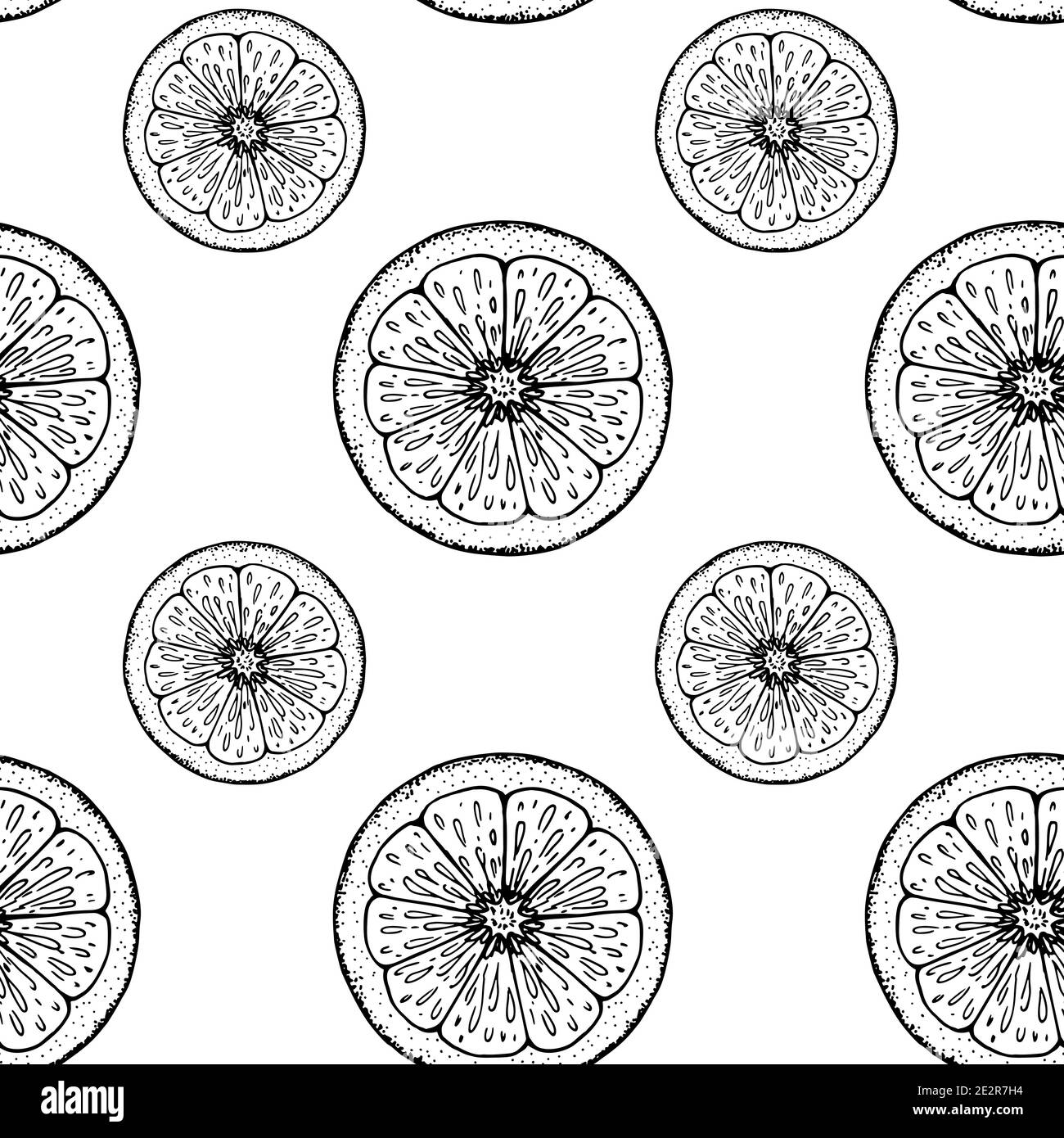 Hand drawn citrus seamless pattern Vector illustration in sketch style Hand drawn citrus seamless pattern Vector illustration in sketch style