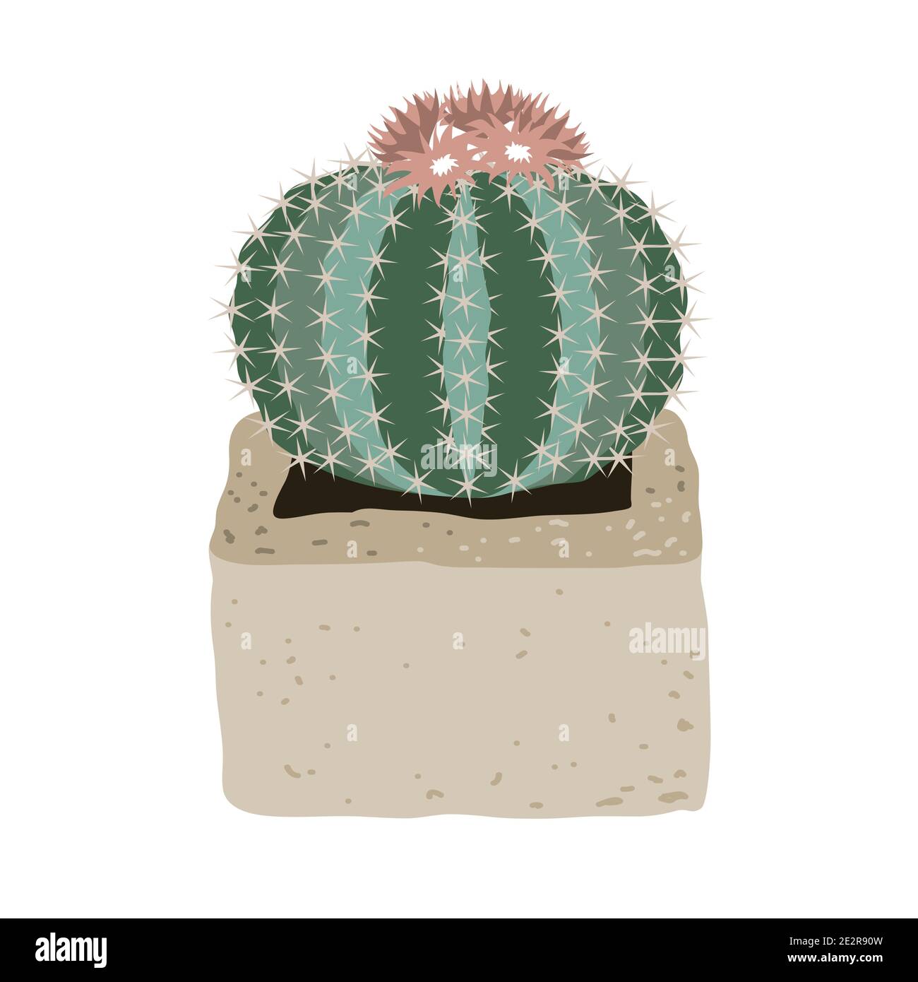 Cute cactus with pink flowers in a cement pot. Vector illustration isolated on a white background. Stock Vector