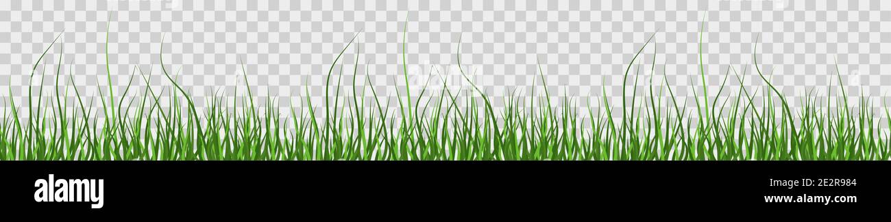 Multicolor green grass. Seamless pattern from left to right. Horizontal on transparent background. Vector Illustration Stock Vector
