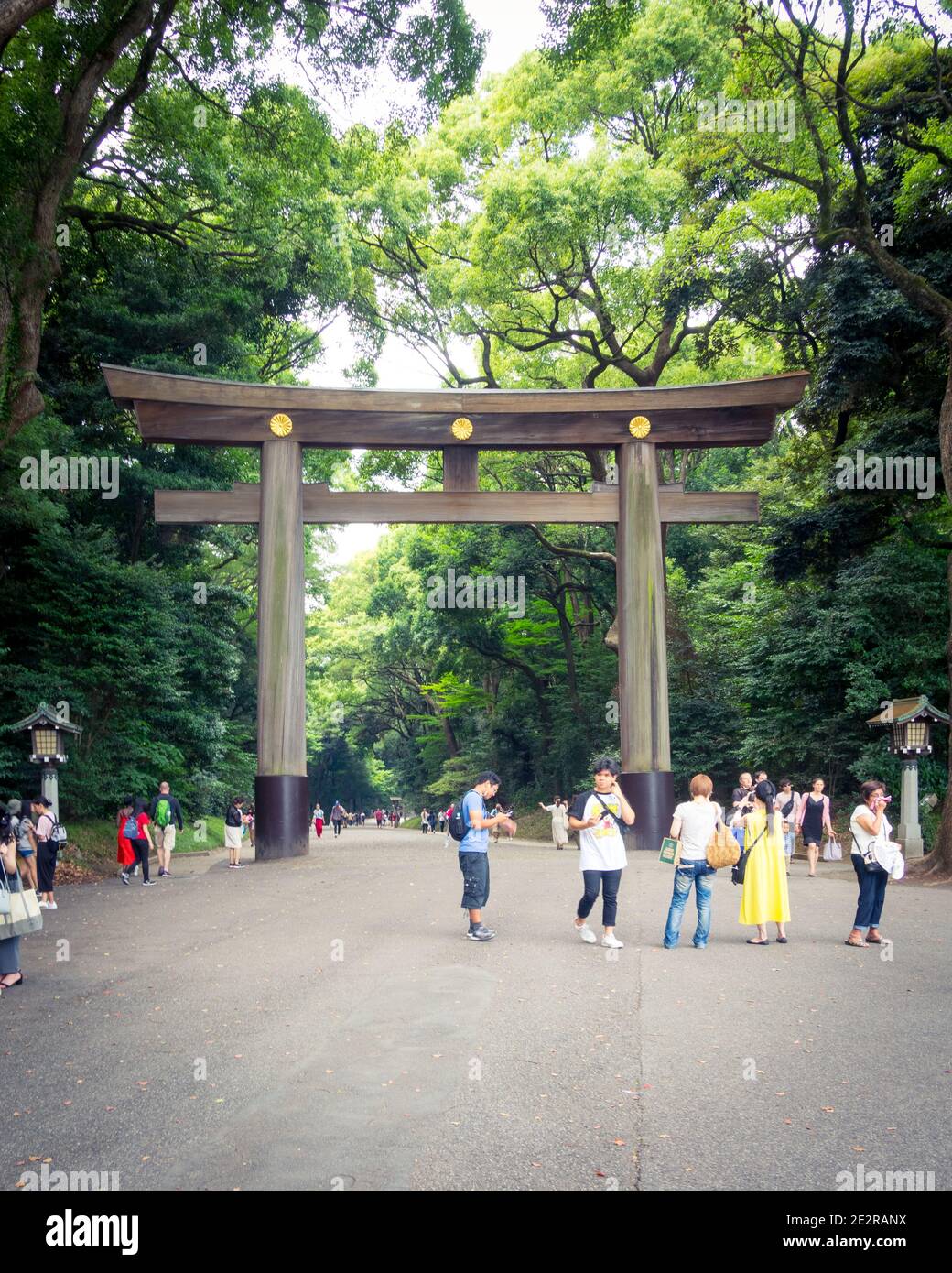 A 40-foot wooden torii gate at the entrance of Meiji Jingu (Meiji Shrine), adjacent to Yoyogi Park in Shibuya, Tokyo, Japan. Stock Photo