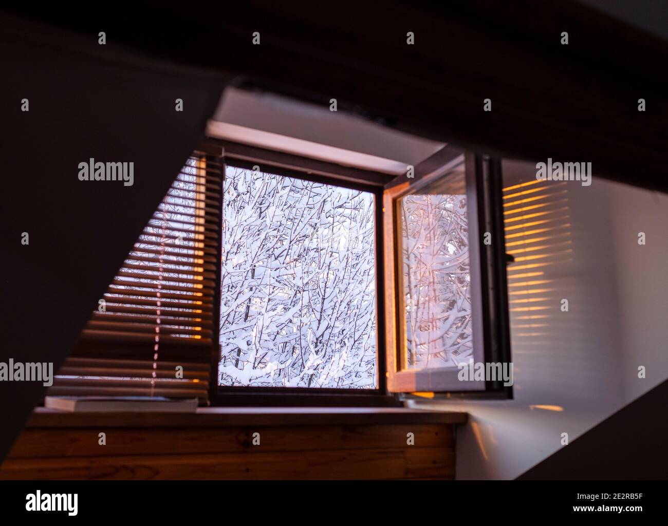 Trees in snow out of window, winter landscape. Stock Photo