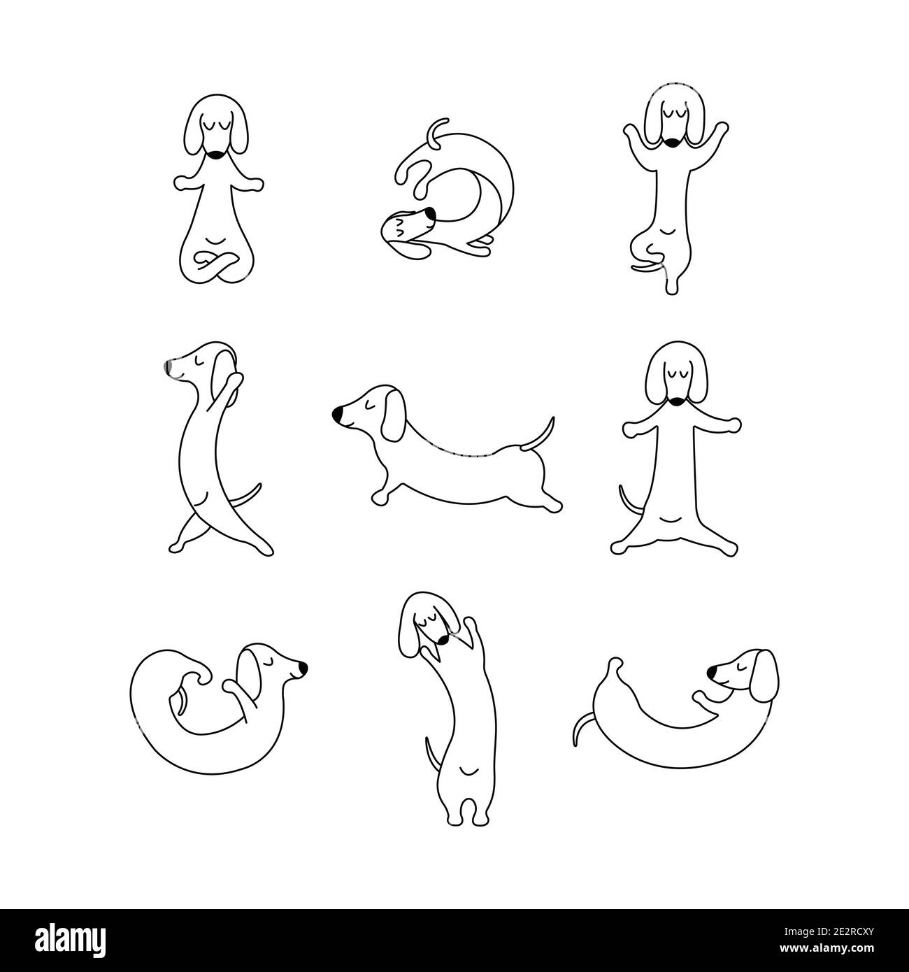 Dachshund practices yoga and meditates. Set Yoga dog, relaxation and sports. Different poses for training. Vector isolated doodle illustration. Hand d Stock Vector