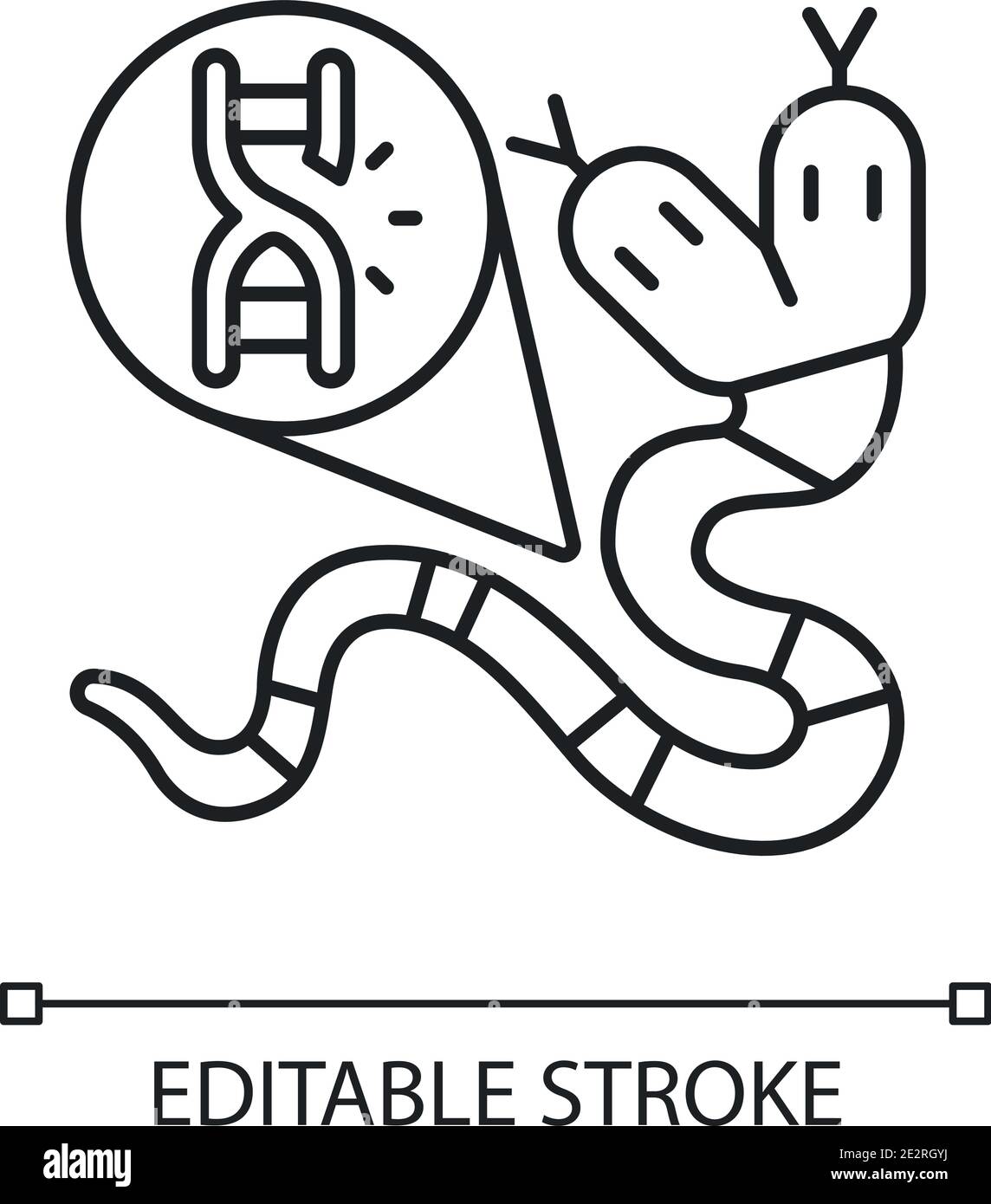 Genetic mutation animal Cut Out Stock Images & Pictures - Alamy