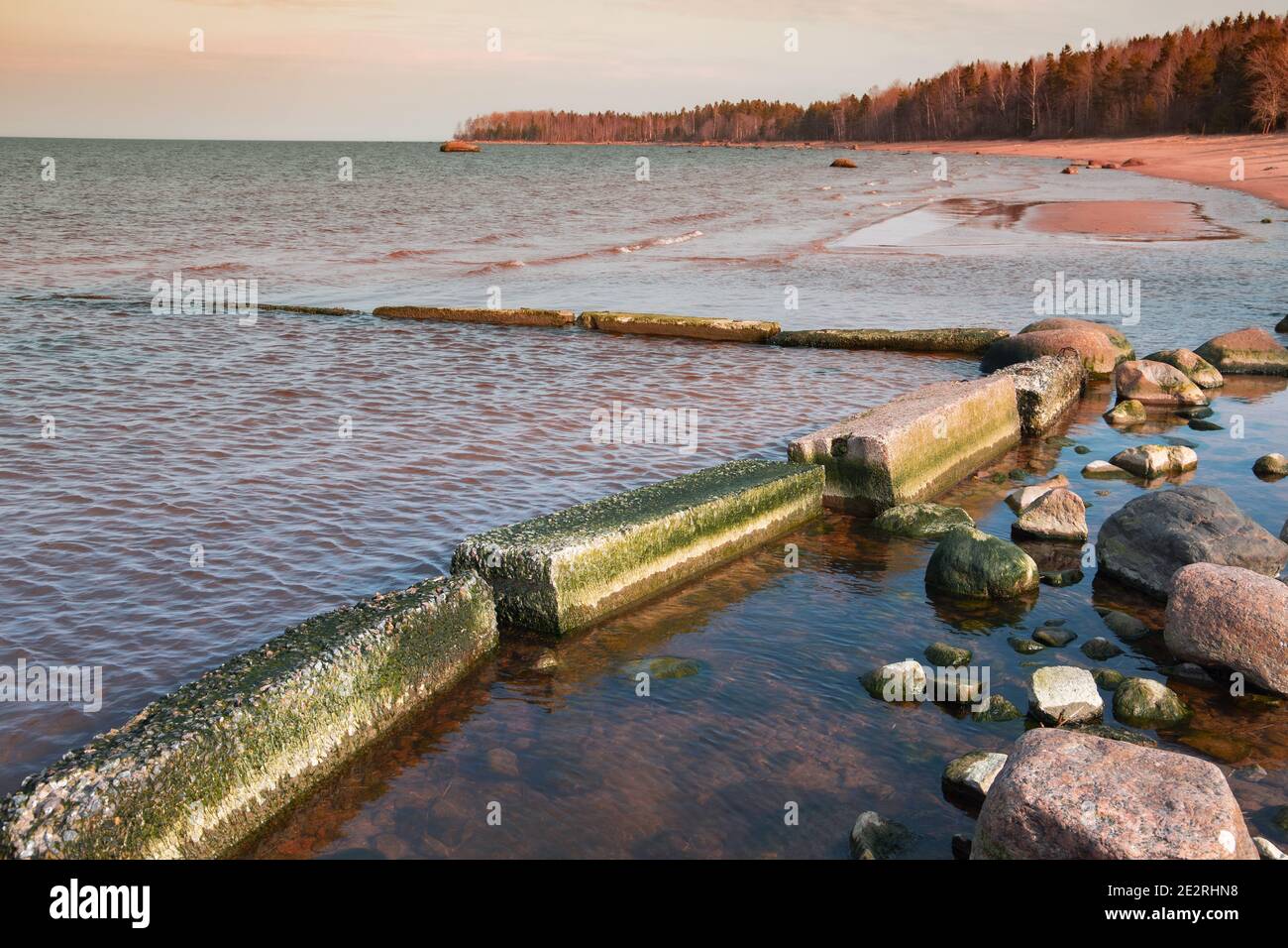 Broken concrete pier covered with seaweed is in a shallow water on the coast of the Gulf of Finland Stock Photo