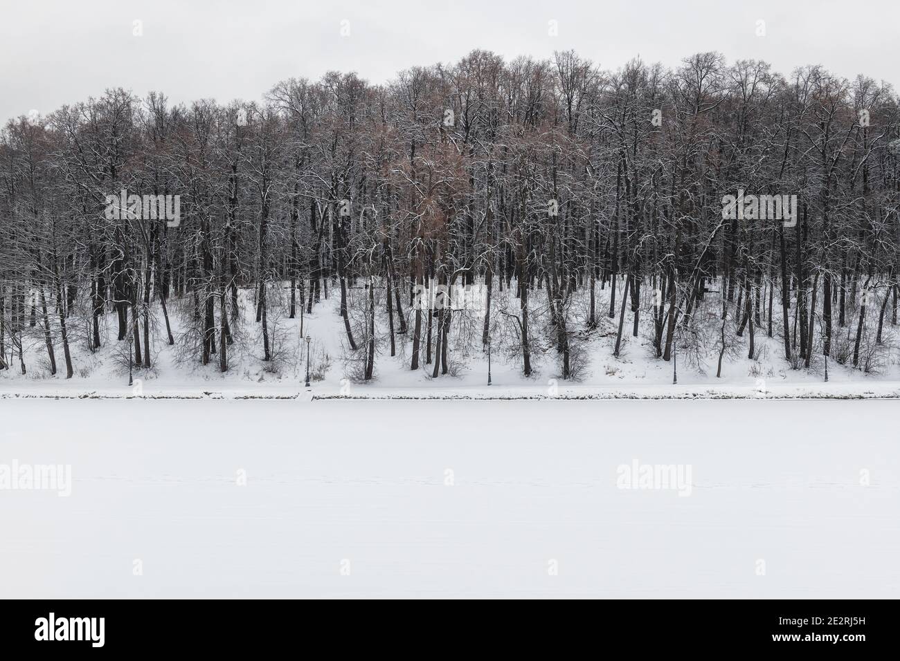 Beautiful winter landscape with snow covered trees and lake in winter park. Stock Photo