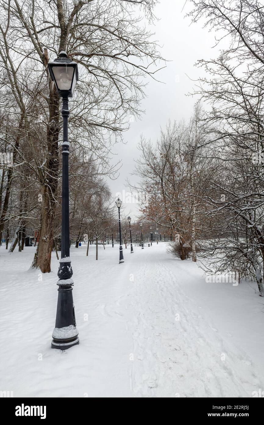 Frosty snow alley in the winter Park with street lights Stock Photo - Alamy