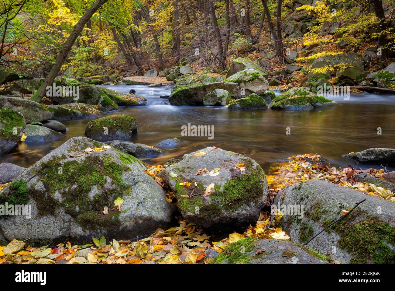 Flusslandschaft die Bode im Harz Stock Photo