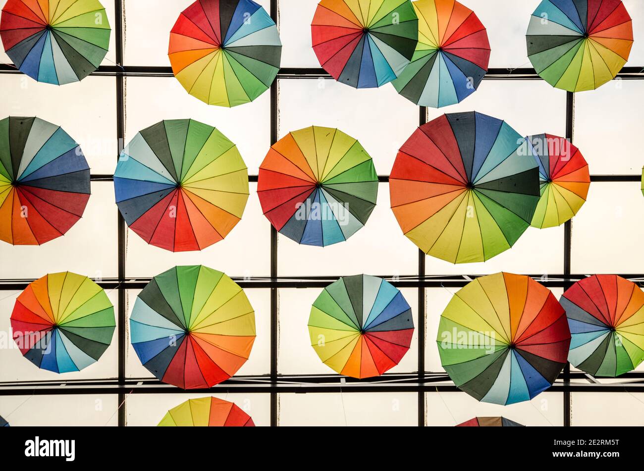 Colorful umbrellas hanging on a glass ceiling Stock Photo Alamy