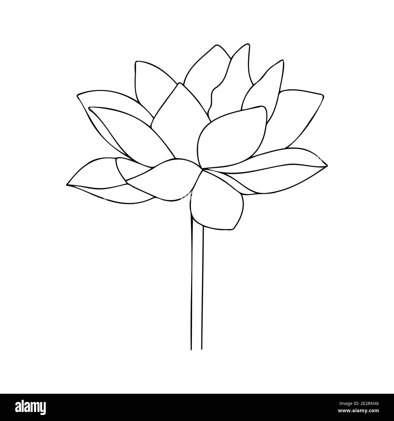 Vector lotus silhouette. Water lily asian flower. Blossom flower illustration. Floral illustration. Black flower of lotus icon on a white background. Vector illustration Stock Vector