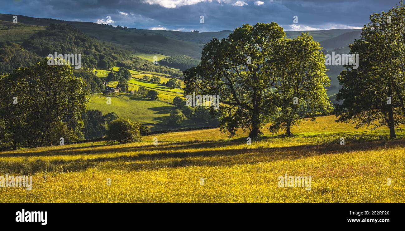 Shot beautiful green mountain hi-res stock photography and images - Alamy