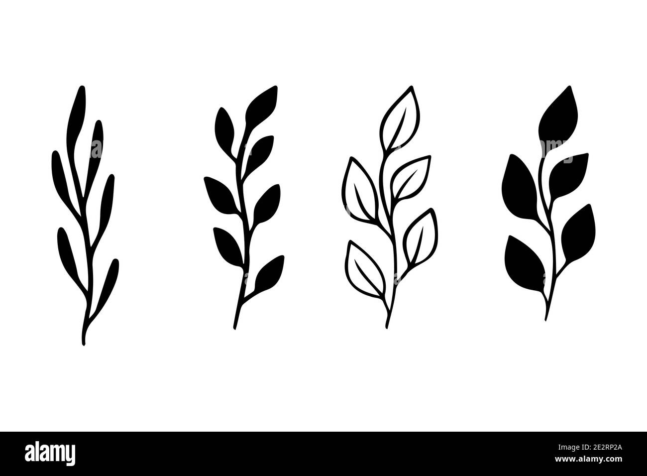 Plant leaves silhouettes. Black silhouette leaves on branches. Flat