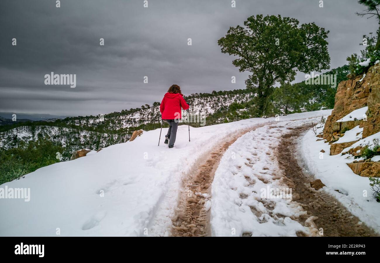 Hiker walking over narrow hi-res stock photography and images - Alamy