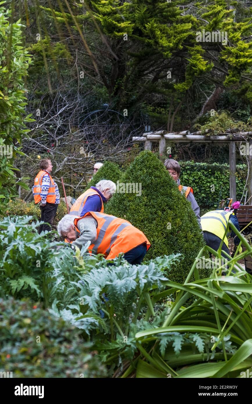 Members of the Newquay in Bloom Partnership working in Trenance Garden in Newquay in Cornwall. Stock Photo