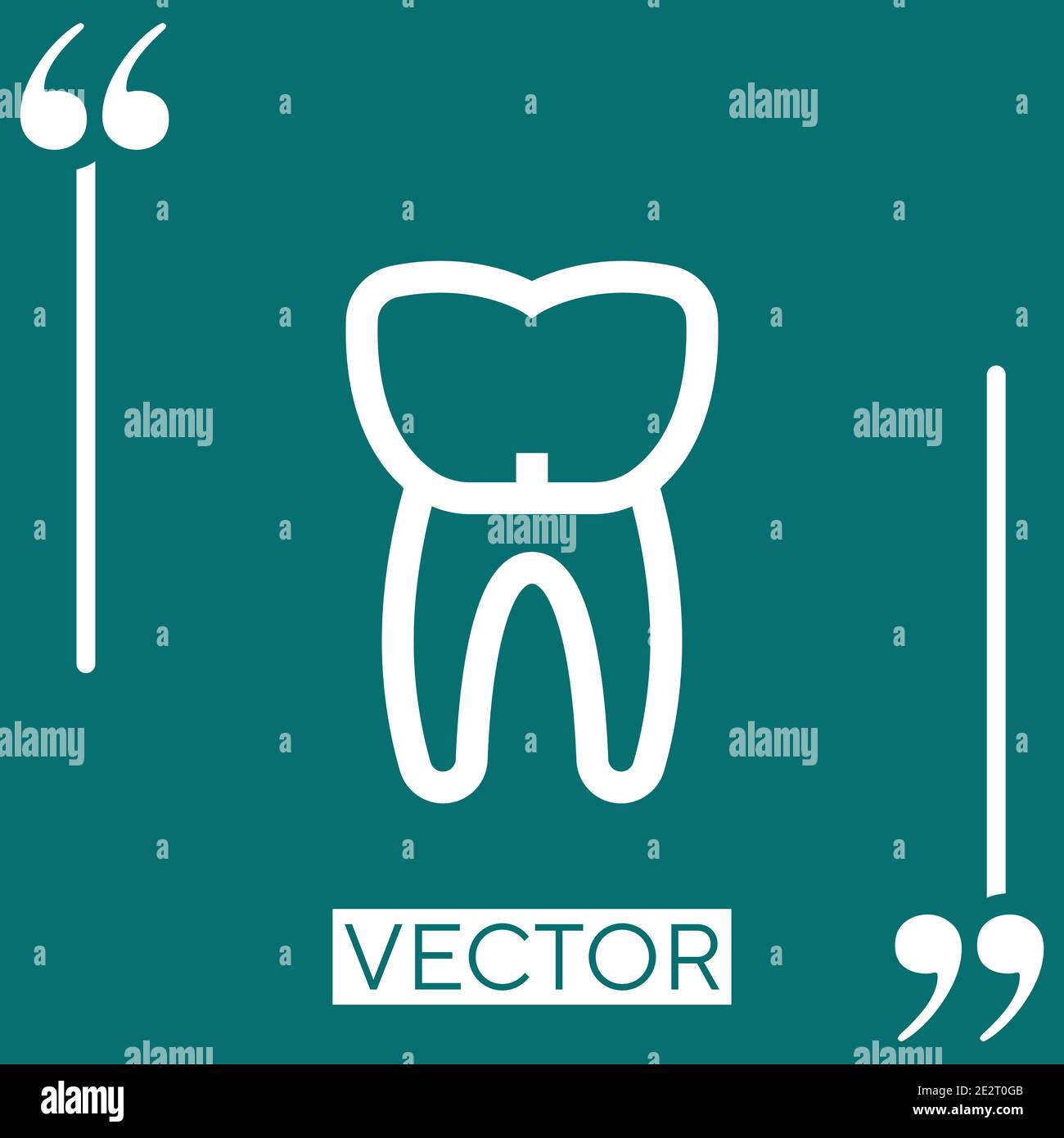 premolar vector icon Linear icon. Editable stroke line Stock Vector