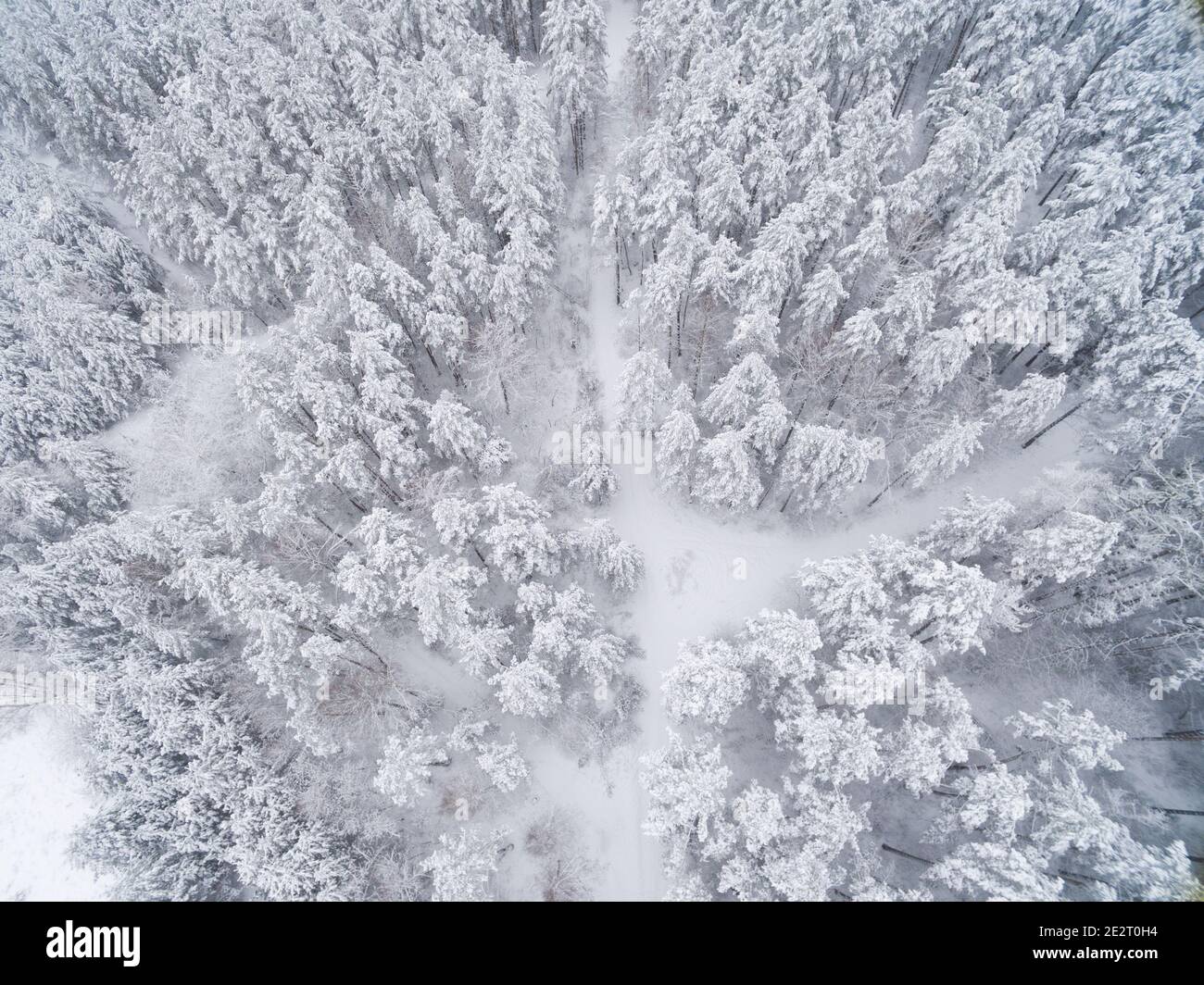 Aerial view snowy forest people hi-res stock photography and images - Alamy