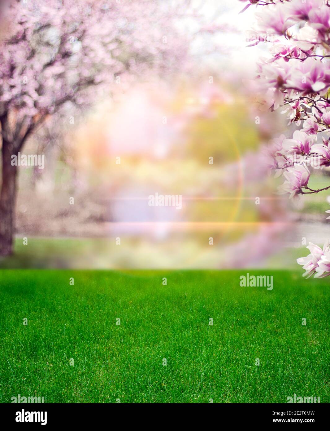 Bright sunny day in the spring blooming garden. The sun rays illuminate ...