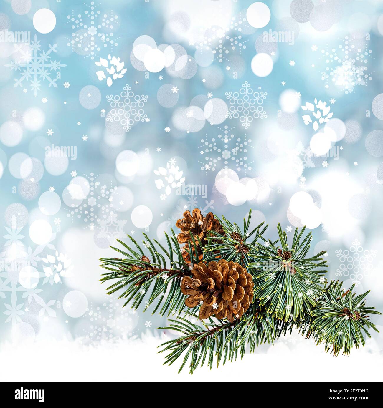 Christmas background, green pine branches and cones Stock Photo - Alamy