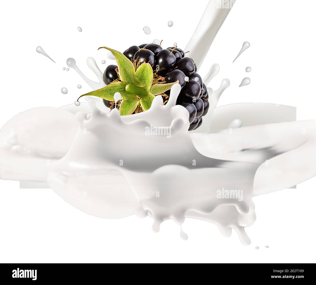 blackberry and milk splash, blackberry yogurt isolated Stock Photo Alamy