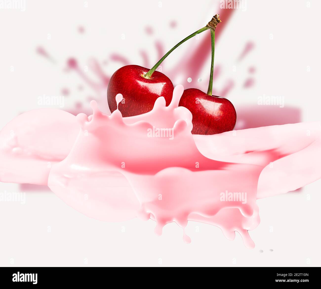 Cherry is falling into milk. Splash isolated on white background Stock
