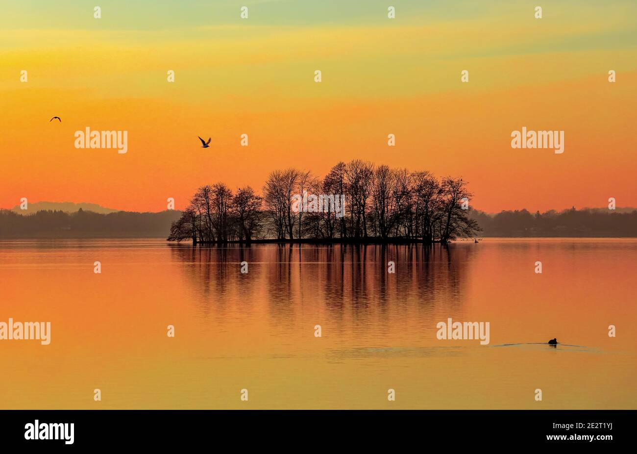 The colors in the sky are always beautiful when the sun goes down on Dieksee in Bad Malente-Gremsmühlen. Stock Photo