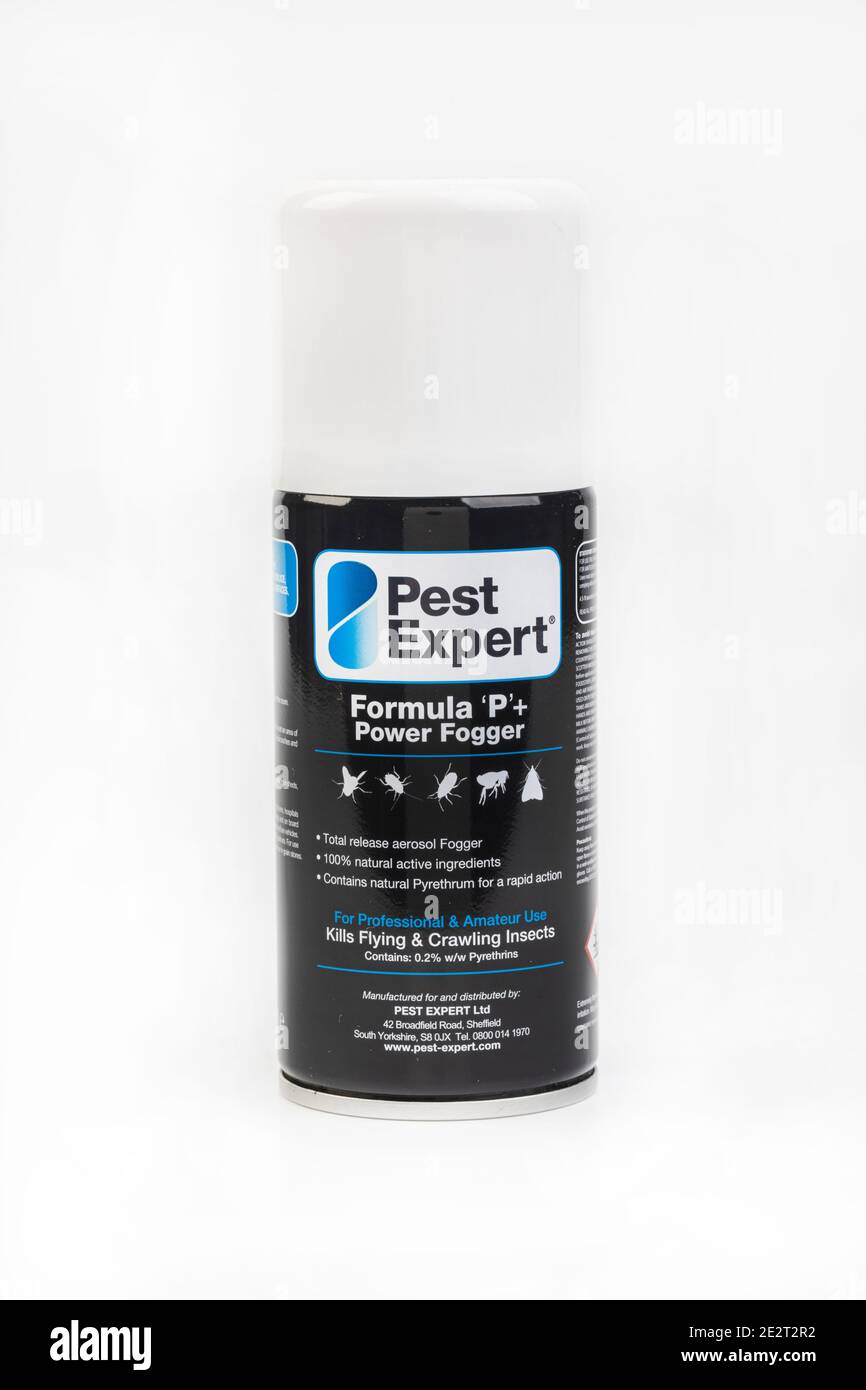 Pest Expert Formula P Power Fogger Stock Photo Alamy