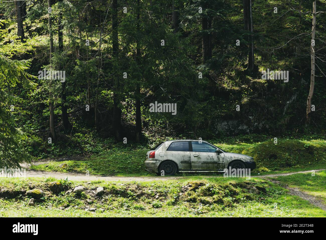 Abandoned car in forest hi-res stock photography and images - Alamy