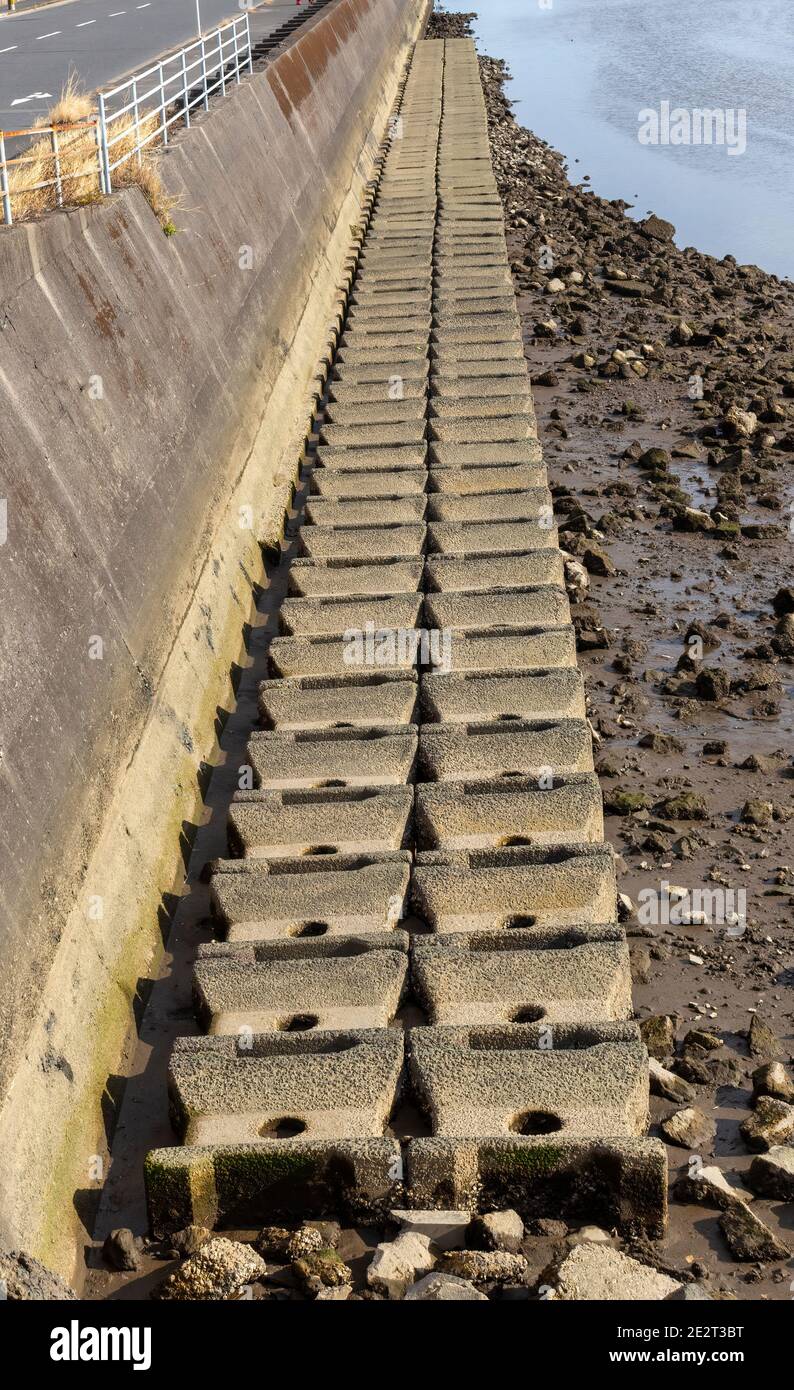 Row of concrete wave breakers on a riverbed, visible due to low tide