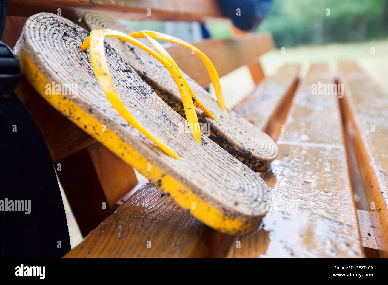 wet summer female slippers on bench after summer rain Stock Photo Alamy