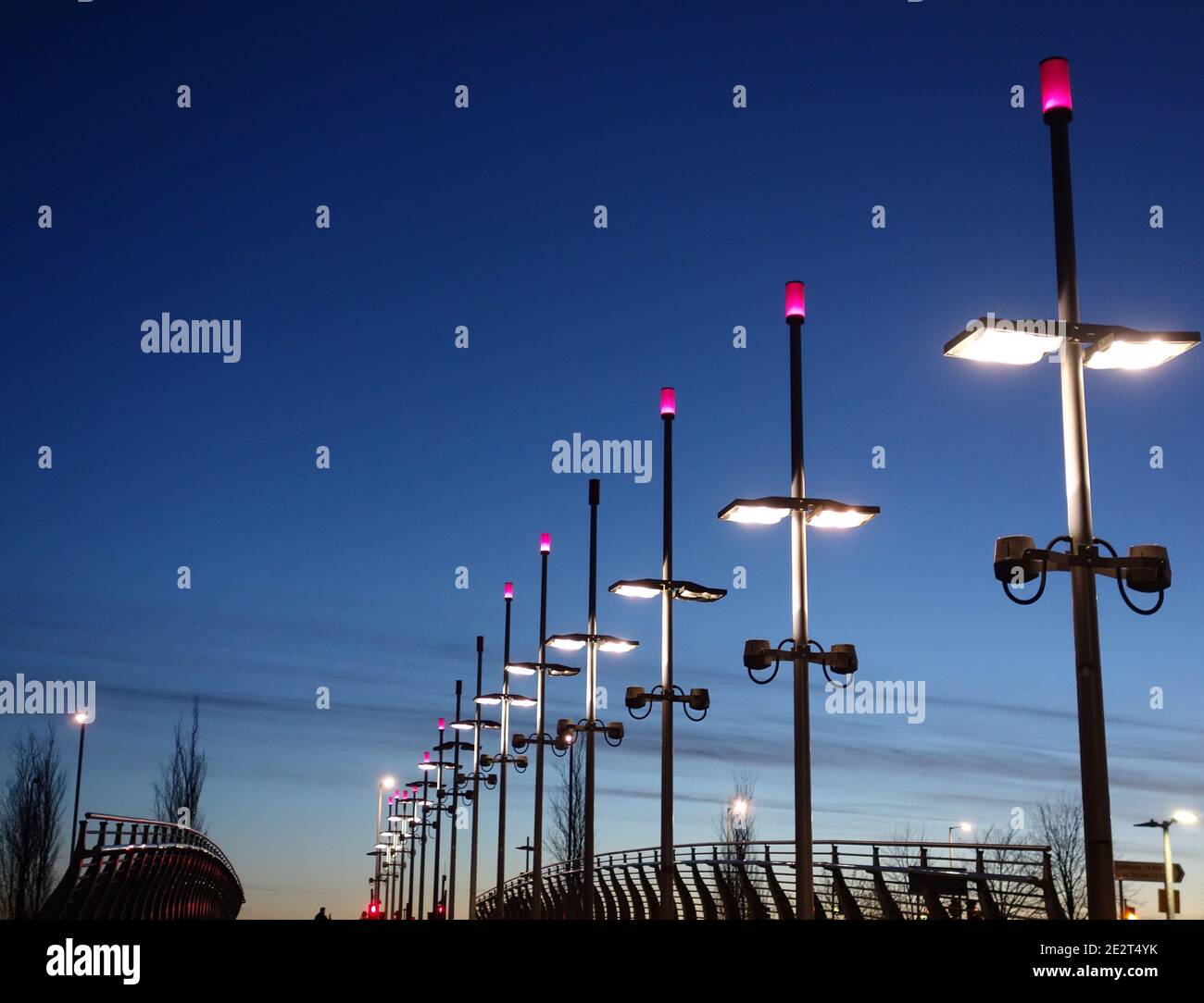 Neon pole light deals