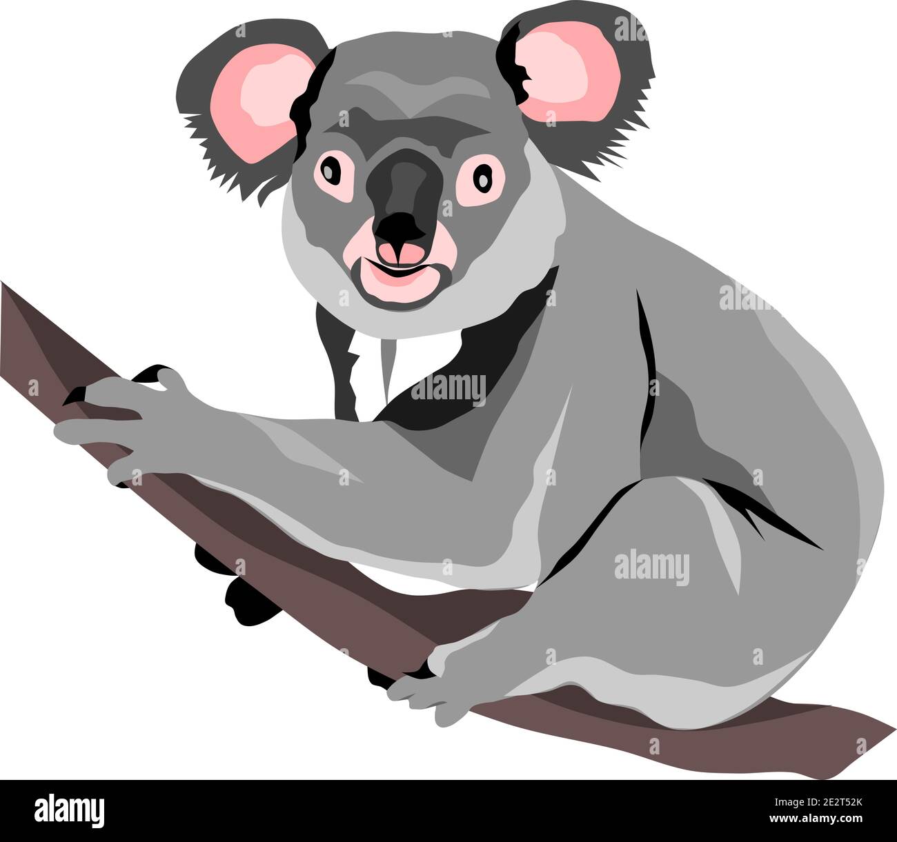 Vector of koala on a branch Stock Vector
